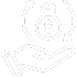 ROI Icon